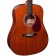 Brunswick BD200 Dreadnought Acoustic Guitar Mahogany Body