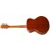 Brunswick BF200 Folk Acoustic Guitar Sunburst Gloss Back