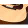 Seagull Coastline S6 Spruce Acoustic Guitar Body
