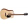 Cort Standard Series AD810 Acoustic Guitar Open Pore
