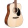 Cort Standard Series AD810 Acoustic Guitar Open Pore