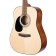 Cort Standard Series AD810 Left Handed Acoustic Guitar Open Pore