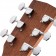 Cort Standard Series AD810 Left Handed Acoustic Guitar Open Pore