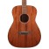 Cort Standard Series AF510M Acoustic Guitar Open Pore