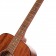 Cort Standard Series AF510M Acoustic Guitar Open Pore
