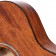Cort Standard Series AF510M Acoustic Guitar Open Pore