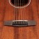 Cort Standard Series AF510M Acoustic Guitar Open Pore