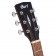 Cort Standard Series AF510M Acoustic Guitar Open Pore