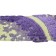 Dog Days Grapevine 2-Inch Wide Guitar Strap close up