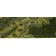 Dog Days OM 3-Inch Wide Guitar Strap Close up