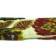 Dog Days Velveteen 3-Inch Wide Guitar Strap Close Up