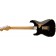 EVH Frankenstein Relic Series Black Back