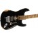 EVH Frankenstein Relic Series Black Body Angle