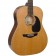 Faith FG1RE PJE Legacy Mars Electro Acoustic Khaya Mahogany Body