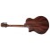 Faith FKVCD Naked Venus Cutaway Cedar & Mahogany Satin Back