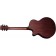 Faith FKVMG Naked Venus Mahogany Electro Cutaway Acoustic Back