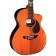 Faith PJE Legacy THE TWENTY Earth FG20HCE body