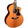 Faith PJE Legacy THE TWENTY Earth FG20HCE body