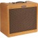 Fender Blues Junior Lacquered Tweed Jensen C12N Angle
