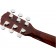Fender CD-60S All Mahogany Dreadnought Acoustic Guitar Headstock Back