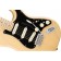Fender Deluxe Stratocaster Guitar Vintage Blonde Maple Body Closeup