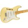 Fender Eric Johnson Signature Stratocaster Thinline Vintage White