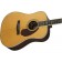 Fender Paramount PM-1 Deluxe Dreadnought Natural Body