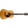 Fender Paramount PM-1 Deluxe Dreadnought Natural