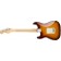 Fender-Player-Stratocaster-Plus-Top-Pau-Ferro-Fingerboard-Tobacco-Sunburst-Back