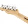 Fender-Player-Telecaster-Tidepool-Maple-Headstock-Back