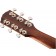 Fender PM-1 Standard Dreadnought All-Mahogany NE Headstock Back