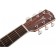 Fender PM-1 Standard Dreadnought All-Mahogany NE Headstock