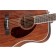 Fender PM-1 Standard Dreadnought All-Mahogany NE Soundhole