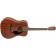 Fender PM-1 Standard Dreadnought All-Mahogany NE