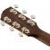 Fender-PM-TE-Travel-Standard-Natural-Headstock-Back