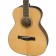 Fender-PM-TE-Travel-Standard-Natural-Thumb