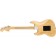 Fender Alternate Reality Sixty-Six Natural Back