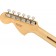 Fender American Performer Stratocaster Honey Burst Headstock Back