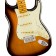 Fender American Professional II Stratocaster Anniversary 2-Colour Sunburst