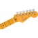 Fender American Professional II Stratocaster Anniversary 2-Colour Sunburst