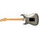 Fender American Professional II Stratocaster Mercury Rosewood Back