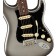 Fender American Professional II Stratocaster Mercury Rosewood Body Detail