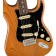 Fender American Professional II Stratocaster Roasted Pine Rosewood Body Detail
