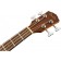 Fender CB-60SCE Natural Acoustic Bass Guitar Headstock