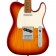 Fender DE Player Telecaster Sienna Sunburst Roasted Maple Body