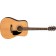 Fender FA-115 Dreadnought Pack Natural Front Angle