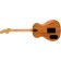 Fender Highway Series Parlour Natural