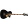 Fender Kingman Bass Black Front