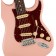Fender Limited Edition American Professional II Stratocaster Shell Pink Rosewood Neck Body Detail