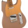 Fender Limited Edition American Professional II Telecaster Shoreline Gold Roasted Maple Body Detail